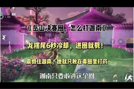 岳山决赛圈，怎么打有大招的迦南？带上减20%冷却的潜能视频封面