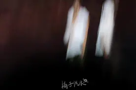 友情岁月存档#友情岁月 #十个勤天 #种下一个未来视频封面