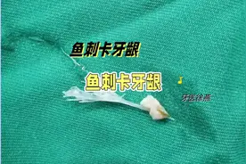 鱼刺卡牙龈-大餐后的肿痛#鱼刺完全扎进肉里怎么办 #口腔科普