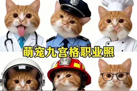 超可爱的宠物九宫格职业照拼图教程来了！快给自家毛孩子安排上啵  #即梦ai#宠物九宫格#萌宠九宫格职业照#宠物九宫格ai生成#宠物九宫格ai生成教程 仓鼠九宫格拼图 猫咪九宫格拼图 狗狗九宫格拼图 宠物职业照拼图制作入口 猫咪职业照 狗狗职业照 宠物九宫格表情包