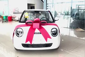 比老头乐还便宜的小电车，报废补贴后1万多落地开回家！#糯玉米视频封面