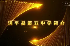 饶平县第五中学简介#文化助力乡村振兴 #美丽乡村任我行