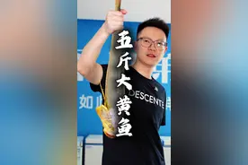 5斤重的#野生大黄鱼 鉴定和腌制全过程，视频有点长，请耐心看完！#大黄鱼做法  #新鲜食材 #宁波海鲜#美食教程视频封面