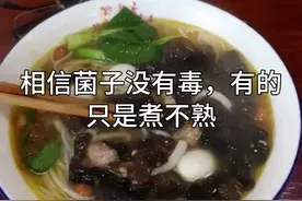 相信所有菌子都没毒，有的只是煮不熟#云南菌子试毒开始啦视频封面