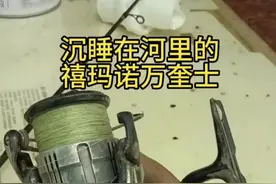 河里掉上来的禧玛诺万奎士纺车轮，历经4小时恢复初始般丝滑，万奎士拆解组装保养维修过程#原来钓鱼才是抖音运动顶流 #路亚 #专业的事交给专业的人来做更靠谱 #纺车轮保养 #水滴轮保养