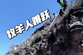 加那利群岛牧羊人古老生存技巧 用一根长棍轻松穿越山谷！#加那利群岛 #牧羊人跳跃 #牧羊人 #运动 #万万没想到