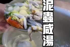 泥虫咸汤丸 台山｜台山汶村有两个特产美食，一是泥虫，二十五味鹅，今天从挖泥虫开始，体验当地的独特美食，泥虫咸汤丸#台山美食 #泥虫 #咸汤圆 #汤丸 #人间烟火视频封面