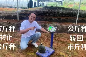 电子秤公斤转市斤，方法分享给大家，记住这组数字，一操作就懂