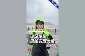 追风康妮，温岭石塘风大雨急浪高！#台风康妮 #暴雨 #台风康妮的威力有多大视频封面