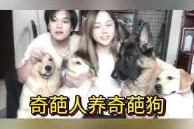 #创作灵感 这是我做梦都想尝试的光腚遛狗，奇葩主人养奇葩狗。视频封面