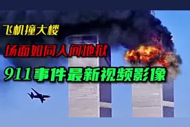 给大家上个九九成稀罕物#恐怖袭击 #911事件 #心情治愈馆视频封面