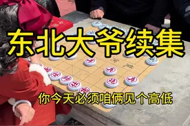 东北大爷续集 棋摊下棋#街头象棋 #象棋#象棋高手 #象棋绝杀 #搞笑 @白雪~中国象棋② @白雪中国象棋3视频封面