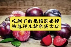 吃剩下的果核别丢掉，被忽视的几款亲民文玩#我要上热门 #文玩视频封面
