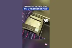俩大妈把高铁坐垫用化肥袋打包带走，湖北一小伙坐高铁有座票却变“没座”