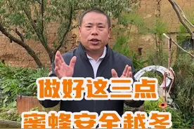 做好这三点，蜜蜂安全越冬！#养蜂人技术分享 #新农人计划2024 #中蜂 #养蜂技术 #中蜂养殖视频封面