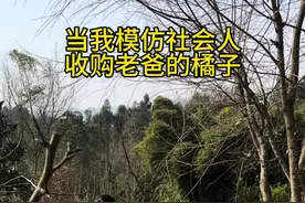 当我模仿社会人整蛊老爸时！ #模仿 #春节快乐的n种方式 #搞笑  #像你这样的春节一定很厉害 #春节气氛组已就位
