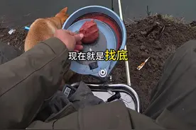 滑漂不会找底的看过来，包教会#原来钓鱼才是抖音运动顶流 #矶竿滑漂钓法 #滑漂如何找底视频封面
