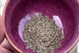 现在正是种植胡萝卜的季节，6个步骤教会您种植胡萝卜全过程#种植萝卜的季节到了 #怎么种植胡萝卜 #关注我一起学种菜视频封面