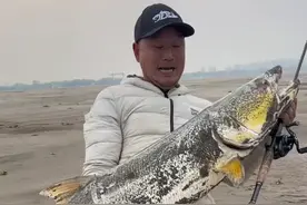 淡水霸王-鳡鱼 破纪录了，路亚野钓最大巨型鳡鱼…#路亚野钓 #鳡鱼 #淡水霸王视频封面