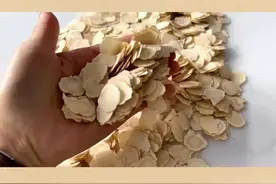 洋参茶：提高免疫力，增强身体抵抗力#西洋参泡水喝的好处视频封面