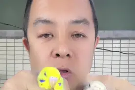#虎皮鹦鹉繁殖 #喂鸟 #手养鸟日常视频封面