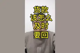 货款该怎么及时要回？#律师咨询 #债务纠纷 #欠款 #镇平律师 #律师