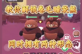 教你解锁新形态卷毛睡袋熊yc  #蛋仔地图推荐#蛋搭子灵感共创