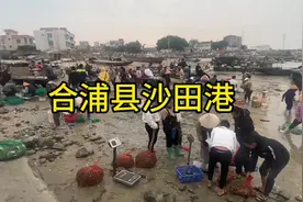 广西合浦县沙田港口
