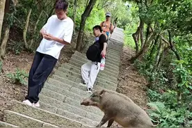 #夜爬梧桐山   都说野猪吃不了细糠  都吃上面包了  下次买个肘子🍖给它吃  看它吃不😂😂    #登上山顶看美景   #我要上热门视频封面
