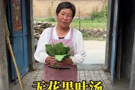 你们喝过无花果叶熬的汤吗？今天妈妈熬的无花果叶汤。#农村美食 #记录真实生活 #农村生活 #新农人计划2025 #抖音美食推荐官 @DOU+小助手