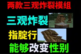两个能颠覆你三观的逆天模组，又能改变性别了#我的世界