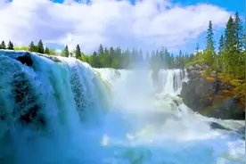 ❤️巫娜古琴曲: 《妙乐清禅》，禅意纯音乐，空灵静心，舒缓安神