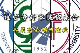 #辽宁专升本视频封面