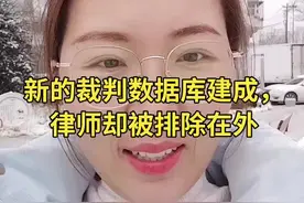 新的数据库建成，律师却被排除在外视频封面