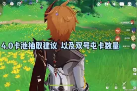 4.0卡池抽取建议 以及双号屯卡数量 #原神 #清夏乐园大秘境视频封面