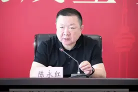 当过4年区长、5年区委书记，陈永红被查