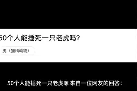 50个人能捶死一只老虎嘛？#老虎 #野兽视频封面