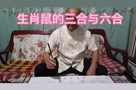 生肖鼠的三合六合#传统文化 #国学智慧 #生肖婚配 #夫妻 #婚姻视频封面