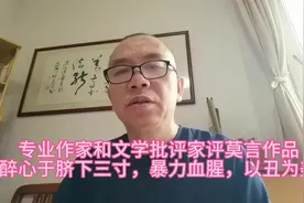 专业作家和文学批评家评莫言作品：醉心于脐下三寸，暴力血腥视频封面
