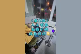 #柯基小短腿 #生狗狗过程 #萌宠日常记录 #小奶基 #刚出生的宝宝 剖腹产人工喂养狗狗日记