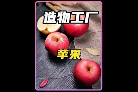 苹果是如何采收和加工的#制作过程 #纪录片 #水果