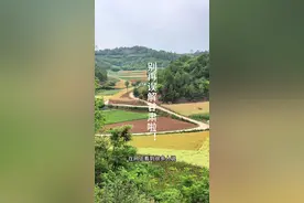 总有人在网上吐槽甘肃荒凉，说山秃雨少。拜托，甘肃地域辽阔，辖80多县，纵横超千里，42万多平方公里土地，各地风貌天差地别。就拿我家乡陇南成县来说，放眼望去绿意盎然，妥妥的 “陇上江南”。甘肃的美，远比你想象的精彩！#甘肃#陇南成县#农村 #田园风光无限好 #我为家乡代言视频封面