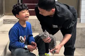 小猫是不是都这么调皮啊 因为家里厨房有老鼠，然后放了个粘鼠贴，谁知道今天小猫去厨房偷吃，被沾鼠板上的香肠吸引，然后就自投罗网了，不过还好用食用油洗掉了它身上的胶水。这小猫真的是太调皮了。