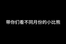 小比熊从出生到成年的变化#比熊 #一坨棉花糖狗狗 #小体比熊
