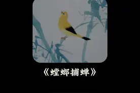 1988年的国产动画《螳螂捕蝉黄雀在后》谁还记得呢#儿童动画视频封面