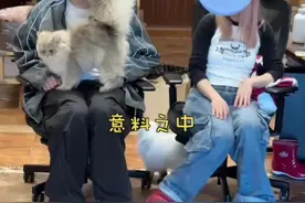 看到了吧，我没骗人😎视频封面