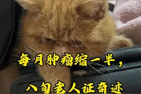 8公分的低分化鳞癌，化疗+免疫组合拳一顿揍，肿瘤体积每个月缩小一半。八旬老人也是有底子的人，常年坚持锻炼，身体素质杠杠的，6个疗程稳稳地完成。见证奇迹，拭目以待。#医学科普 #肺癌 #化疗 #免疫治疗#战胜病魔视频封面