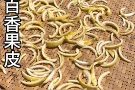 你们吃完的百香果皮千万别扔了，像我这样做