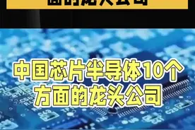 中国芯片半导体10个方面的龙头公司 #科技创新 #科技 #半导体 #制造业 #高科技视频封面