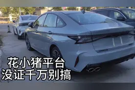 没双证千万别搞网约车，花小猪就是坑人的！#艾瑞泽8 #车友会